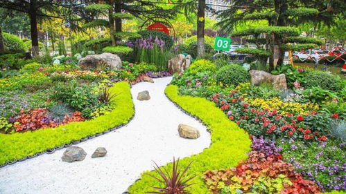 日照市第四届园林绿化行业花艺环境设计师技能竞赛成功举办，助推园林绿化高质量发展