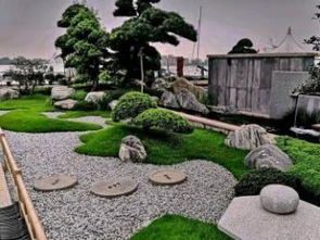 屋顶上的都市绿洲 上海花园设计中的鲜花绿植与园林艺术